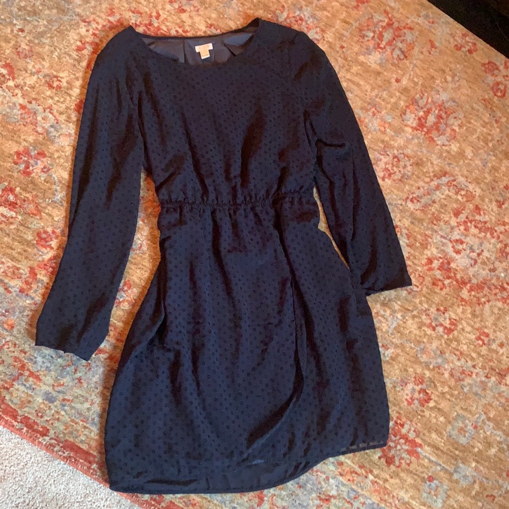 Navy J Crew long sleeve dress